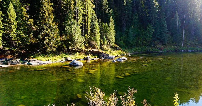 Kelly Creek in Nez Perce-Clearwater National Forests
