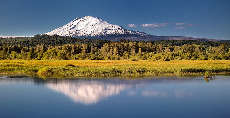 A Review of Ever Wild: A Lifetime on Mount Adams - Columbia Insight