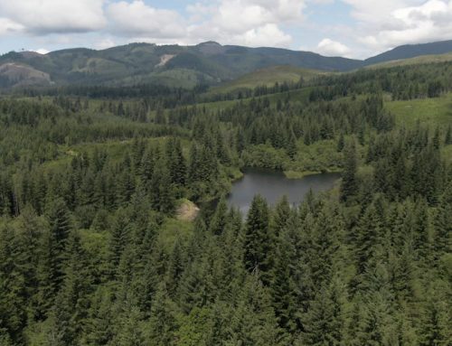 As climate change intensifies, organizations are scaling up by joining forces