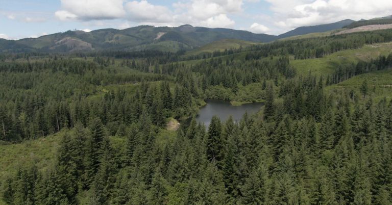 Kwoneesum Lake in southwest Washington.