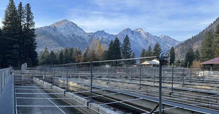 Leavenworth National Fish Hatchery
