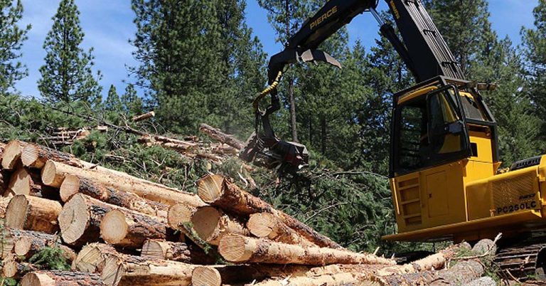 About three-quarters of federal O&C forests in western Oregon are protected from regular logging. But Bureau of Land Management indicated it could return those acres to 1960s harvest levels, more than 10 times current harvest levels. Photo courtesy of the Bureau of Land Management