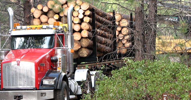 Logging truck in Deschutes National Forest