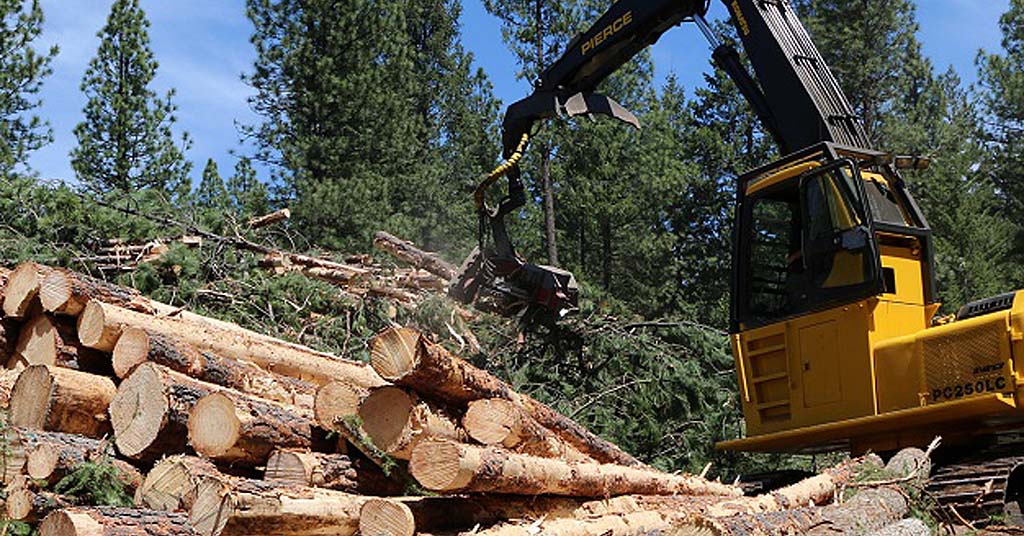 About three-quarters of federal O&C forests in western Oregon are protected from regular logging. But Bureau of Land Management indicated it could return those acres to 1960s harvest levels, more than 10 times current harvest levels. Photo courtesy of the Bureau of Land Management