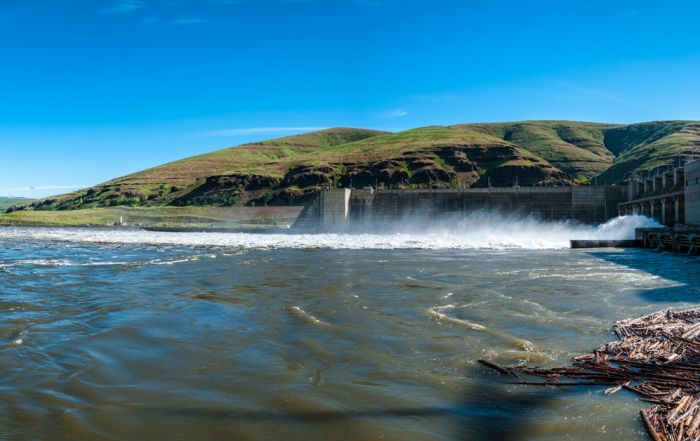 Lower Granite Dam, Washington, Snake River