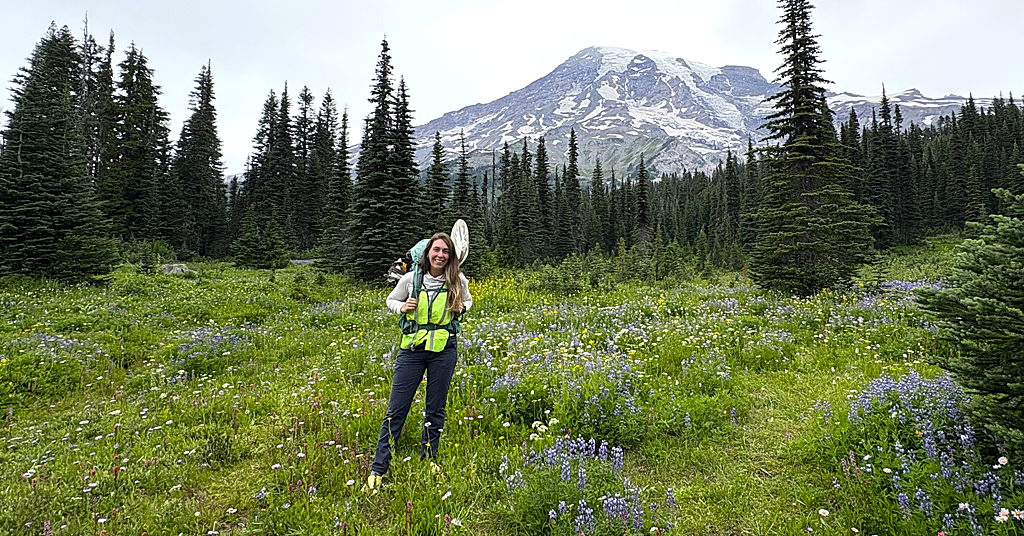 Mount Rainier with bee collector