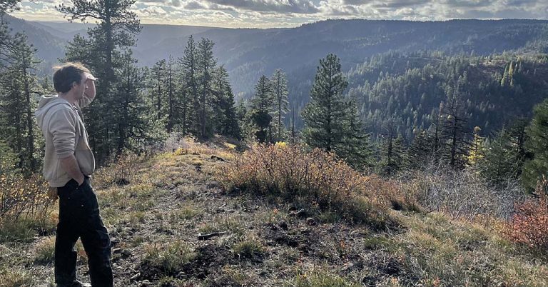 Mill Creek watershed where Tiger-Mill timber sale will thin trees