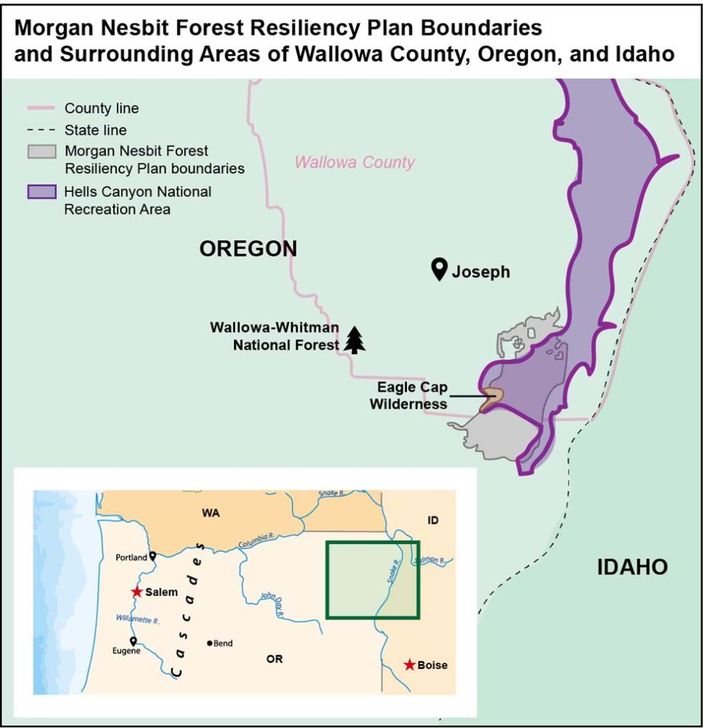 Morgan Nesbit Forest Resiliency Plan area map