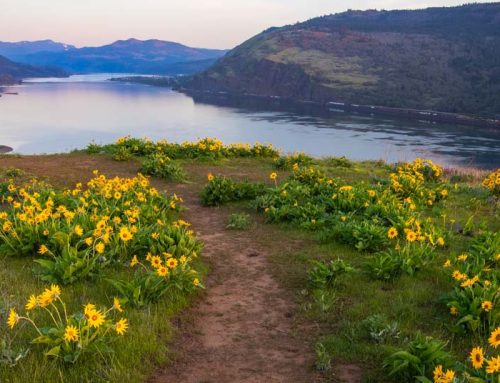 A cool new hiking trail is being planned for the Gorge