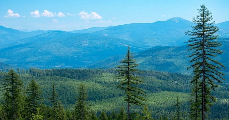 Mt. Henry and Yaak Valley from Garver Mountain on the Kootenai National Forest photo USFS