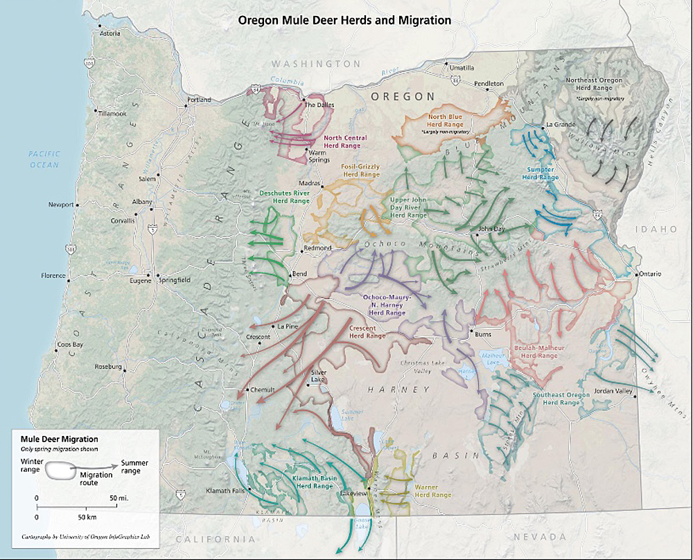 Mule deer migration map