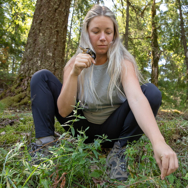 USFS Technician Kiara McAdams releases a turtle into the wild.