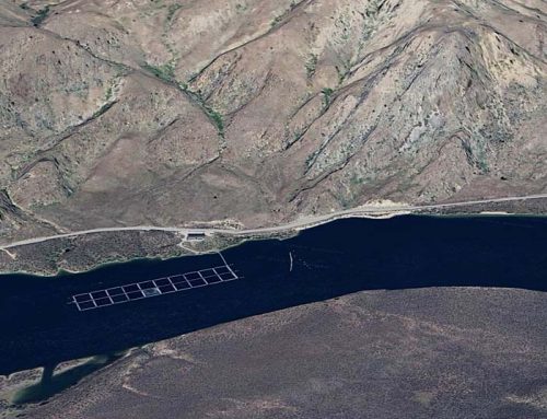 Pacific Seafood sued over aquaculture permit violations in Columbia River