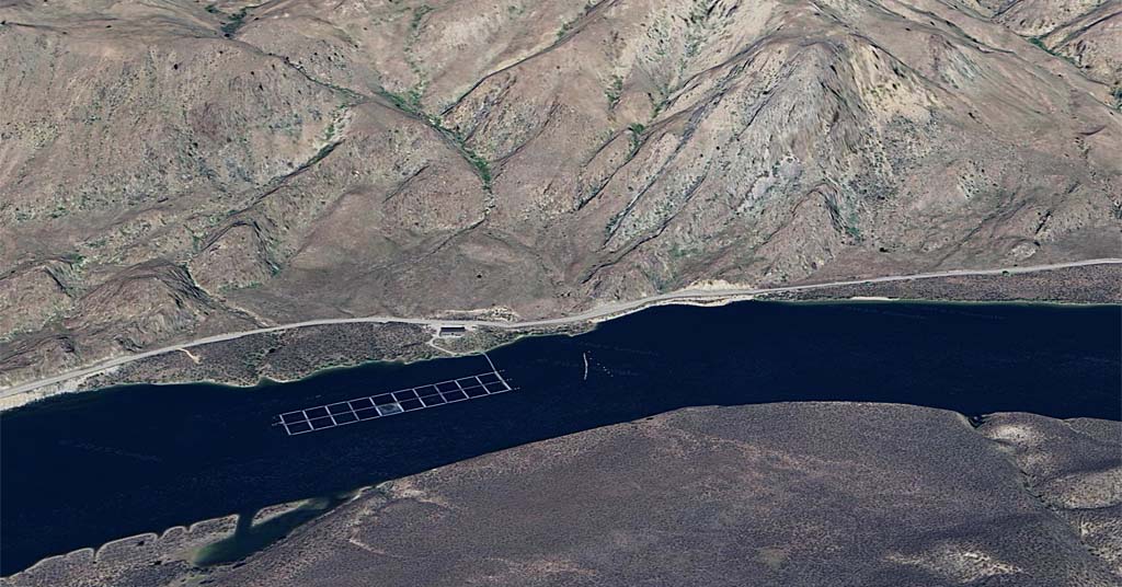 Pacific Seafood sued over aquaculture permit violations in Columbia ...