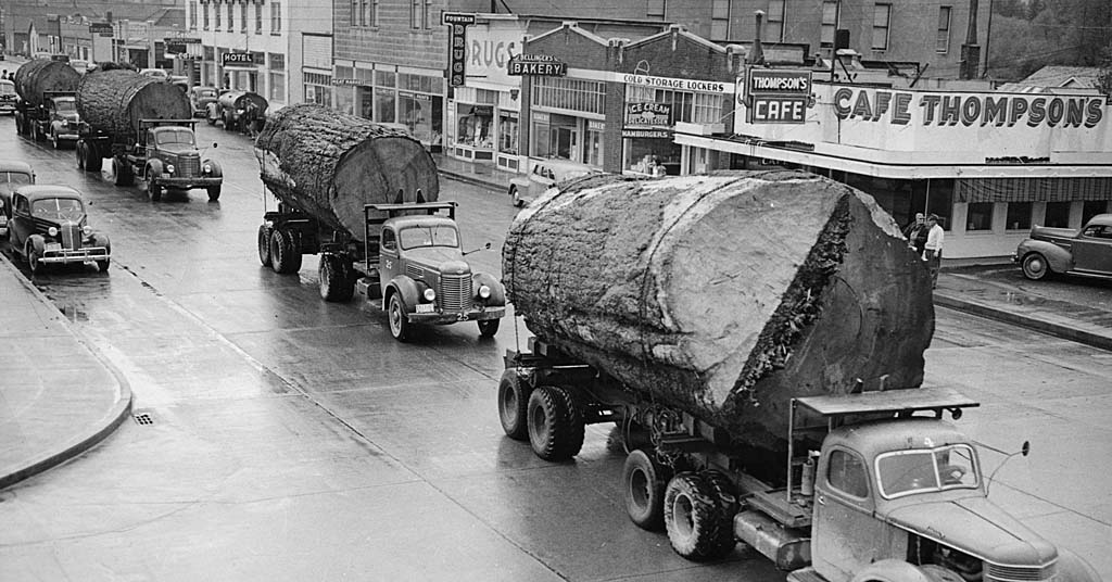 Old growth Doug fir on trucks