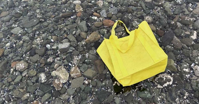 Reusable yellow plastic bag floating in tidal waters