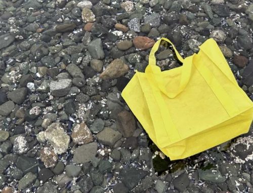 A new fight is coming over plastic bags