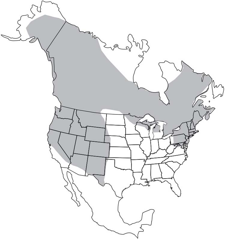 Porcupine Range Map