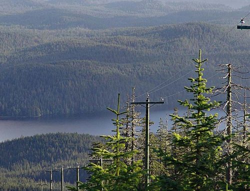 Growing issue: As energy production increases so do chemical impacts to critical habitats