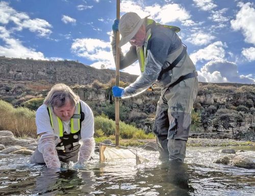 Quagga fail: 90% of life killed in parts of Snake River section of copper treatment