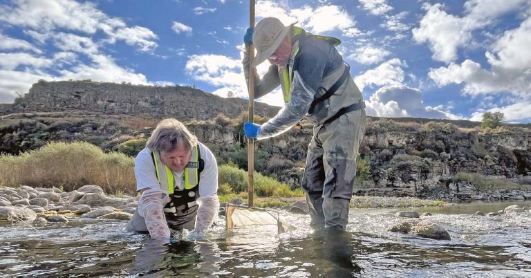 Two scientists check Quagga response Snake River in 2024