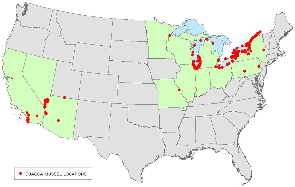 Map showing distribution of quagga mussels in United States