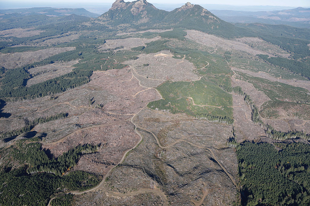 Dramatic clearcuts aerial view of Oregon's Saddle Mountain