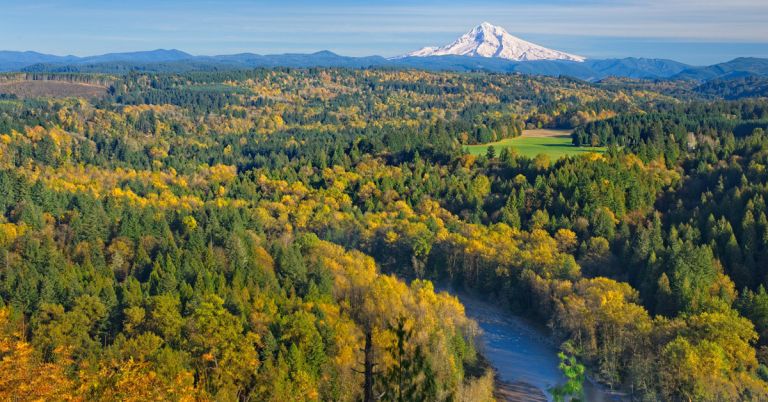 Sandy River Jonsrud Viewpoint