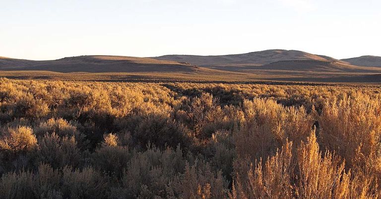 Sunlight highlights Sheldon National Wildlife Refuge, Nevada