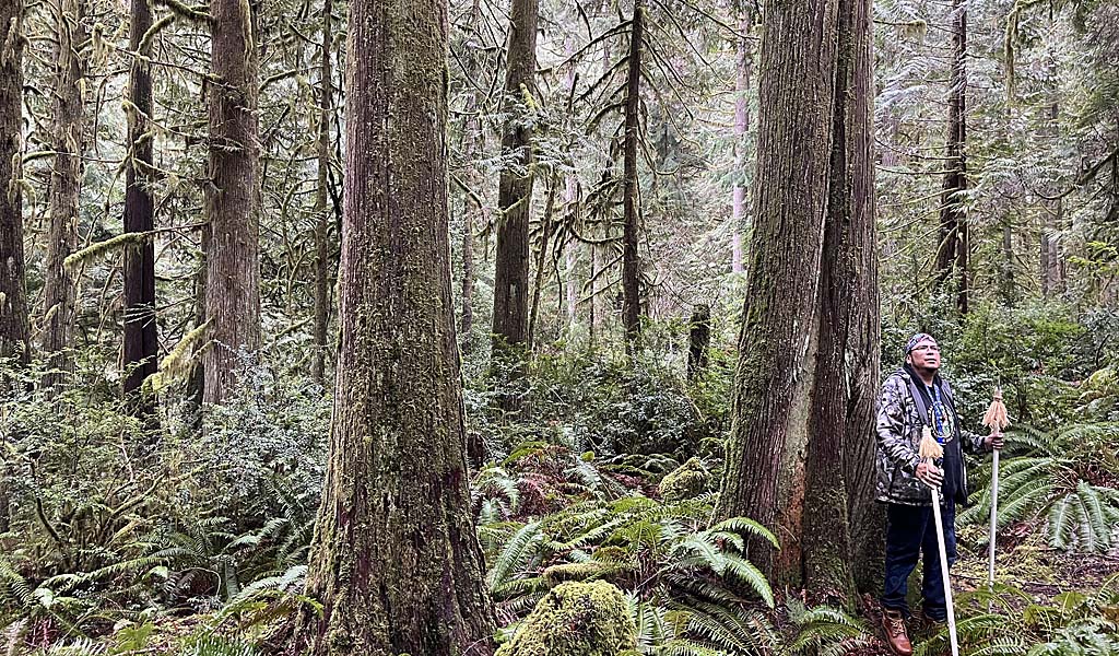 Sherwood Forest in Mason County, Washington