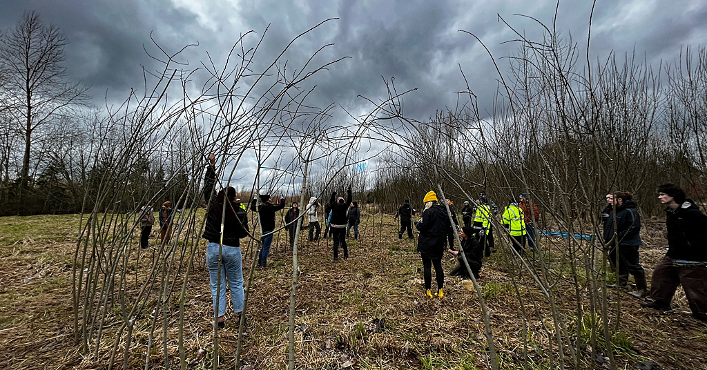 Willow dome at Shwakuk Wetlands in north Portland.