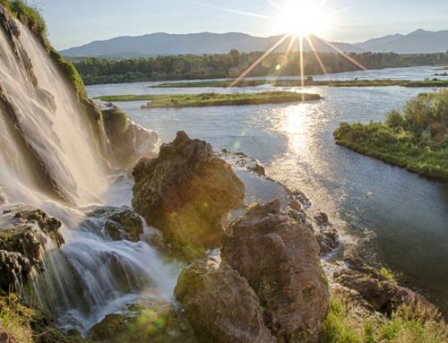 It’s now or never if the Nation is going to stop Northwest salmon extinction