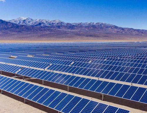 This new innovation could make solar farms more wildlife friendly