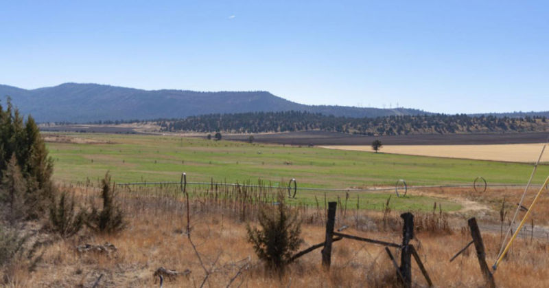 This field would be covered in rows of solar panels if the proposed Bonanza Energy Facility comes to fruition. Neighbors are concerned that the facility will negatively impact life in Langell Valley. Photo by Alex Schwartz/Herald and News