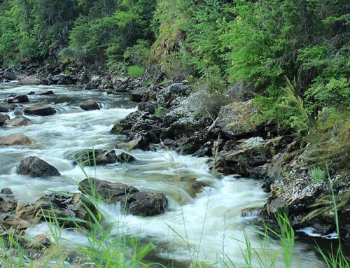 Idaho’s Clearwater River Basin added to ‘most endangered’ list