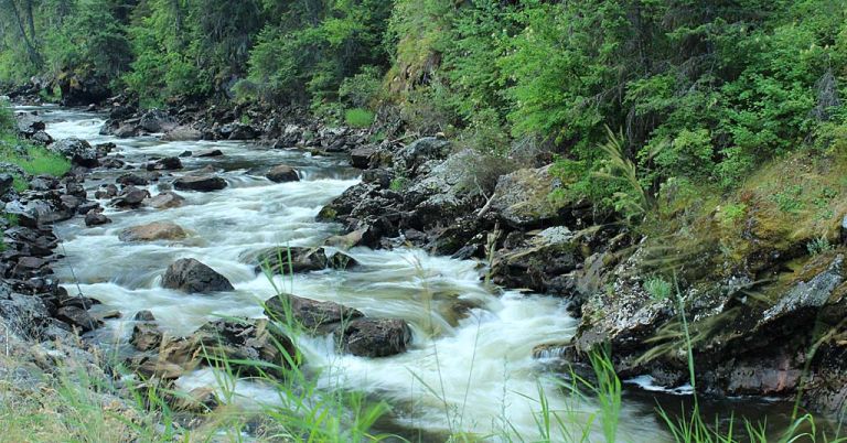 South Fork Clearwater River