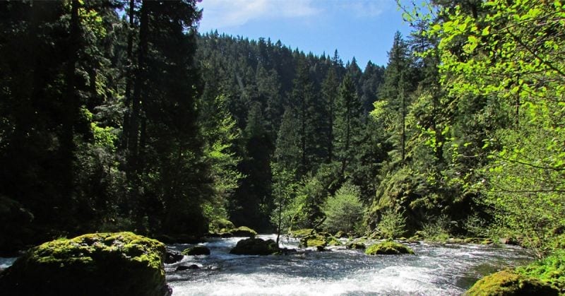 Spirit Falls Trail on Little White Salmon River in WA photo by Jeff Hollett