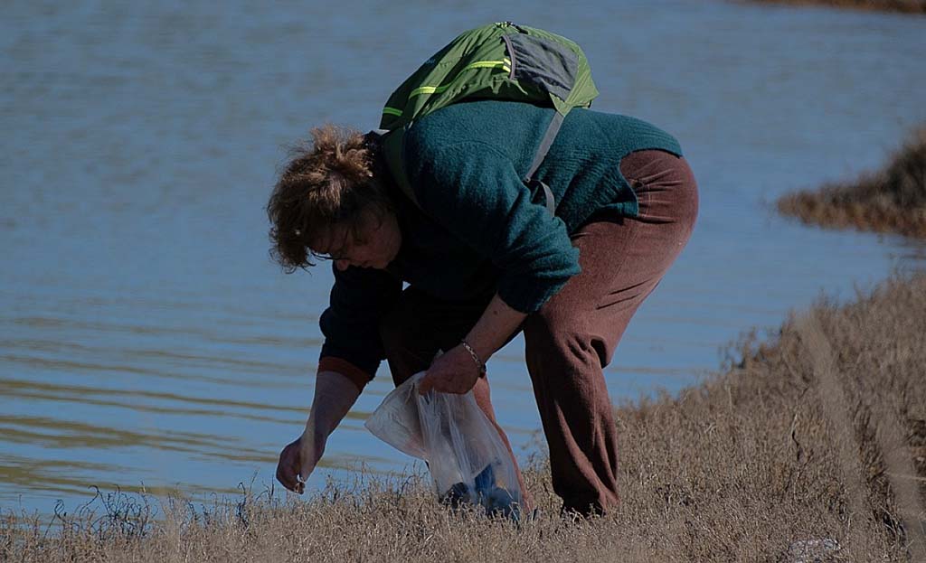 Susan picking up garbage