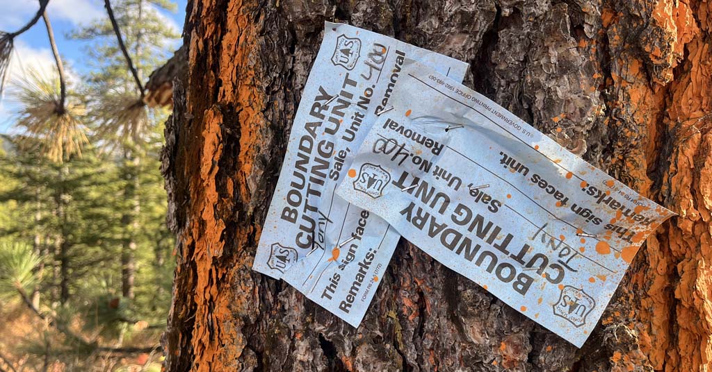 Tiger-Mill Project signage by Eli Francovich, Columbia Insight