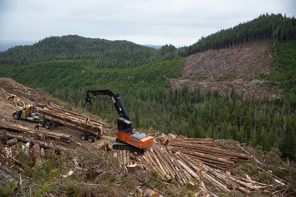 Clear-cut operation in Tongass National Forest in Southeast Alaska