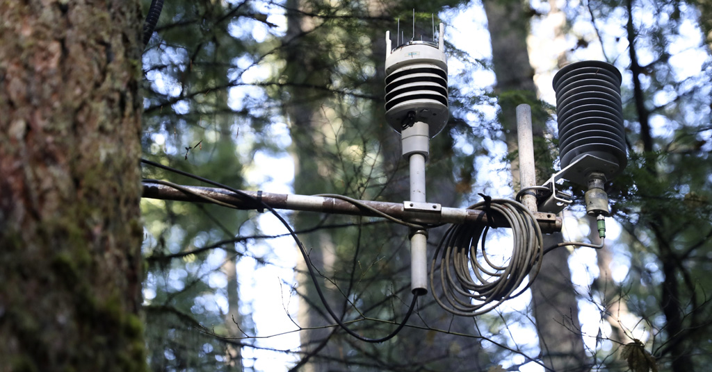 Weather monitoring equipment in the Willamette National Forest, Ore