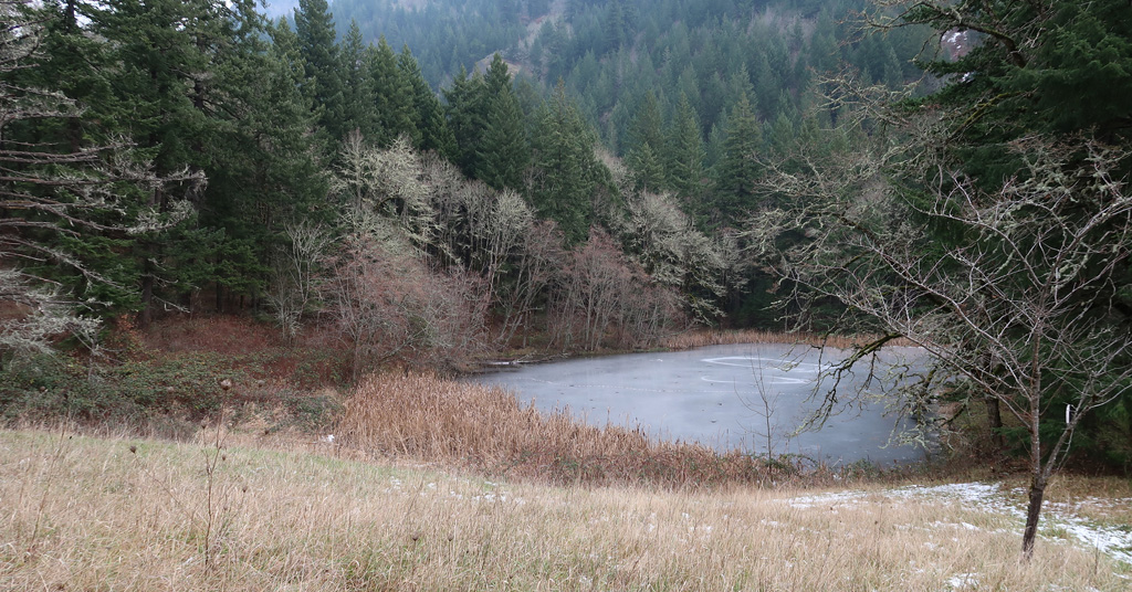 Pond at Turtle Haven in Columbia River Gorge