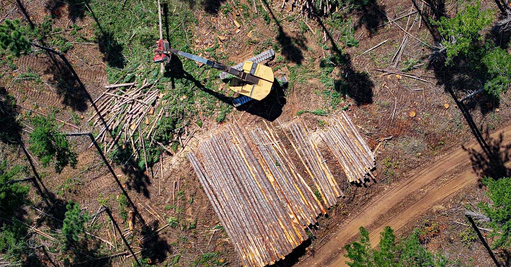 Oregon logging operation by drone view