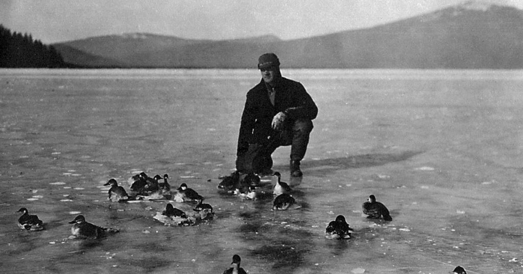 Upper Klamath Lake ducks 1932 by Klamath Museum