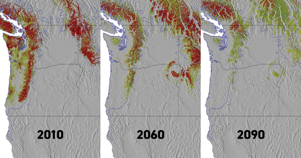 Western redcedar range decline