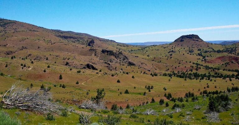 Photo by Tom Almy/Creative Commons