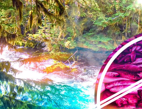 Oregon’s ‘thermal trading’ program is popular. Also expensive and unproven