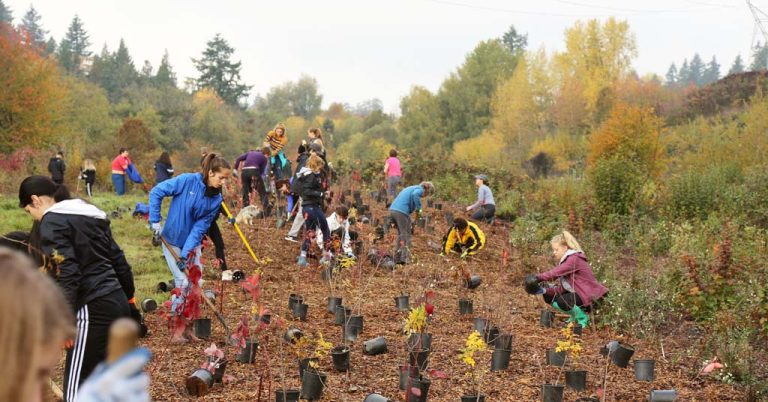 Kids plant trees as part of a Watershed Alliance event.