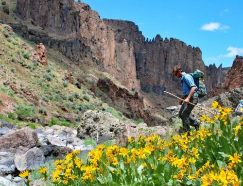 The world found the Owyhees. Advocates say it’s time to protect land