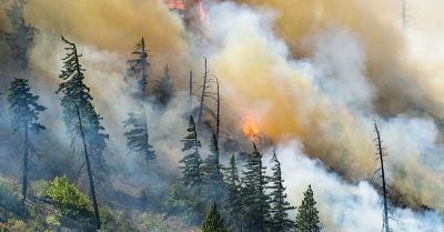 Wildfire smoke by Jurgen Hess